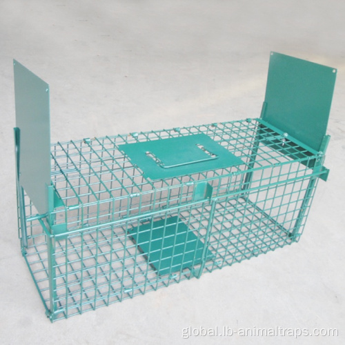 Rat Trap Cage Collapsible Double Doors Pest Animal Trap Cages Manufactory